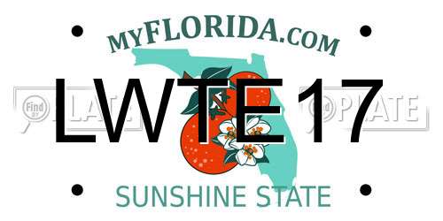 LWTE17 Florida License Plate