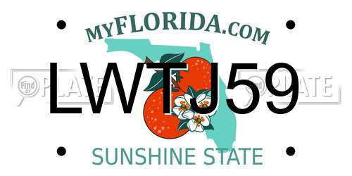 LWTJ59 Florida License Plate