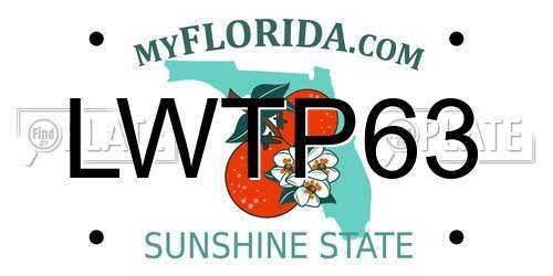 LWTP63 Florida License Plate