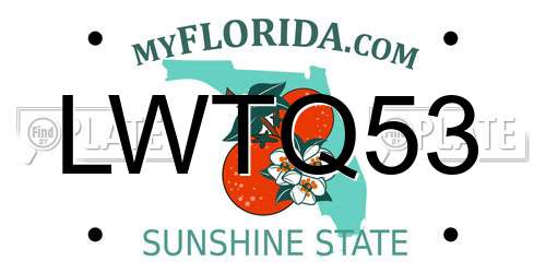 LWTQ53 Florida License Plate