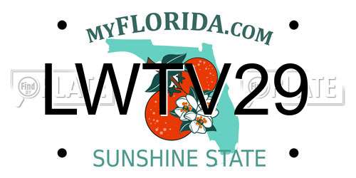 LWTV29 Florida License Plate