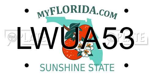 LWUA53 Florida License Plate