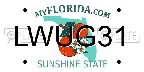 LWUG31 Florida License Plate