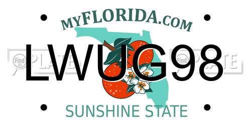 LWUG98 Florida License Plate