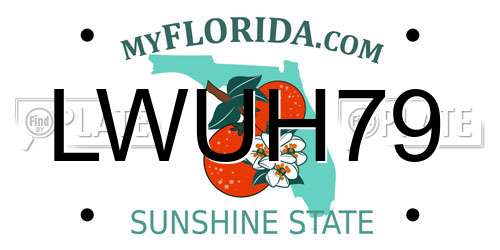 LWUH79 Florida License Plate