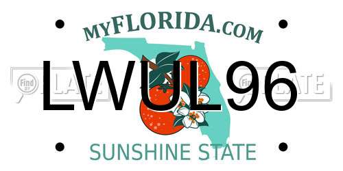 LWUL96 Florida License Plate