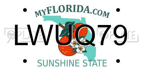 LWUQ79 Florida License Plate