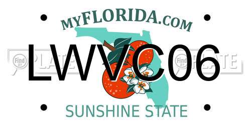 LWVC06 Florida License Plate