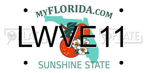 LWVE11 Florida License Plate