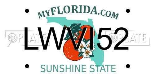 LWVI52 Florida License Plate