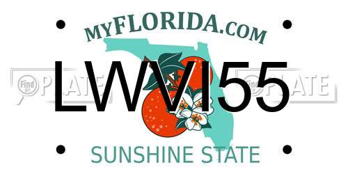LWVI55 Florida License Plate