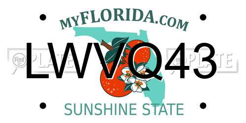 LWVQ43 Florida License Plate