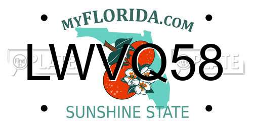 LWVQ58 Florida License Plate