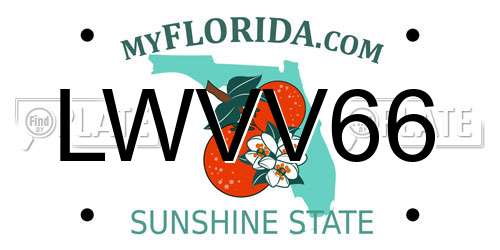 LWVV66 Florida License Plate