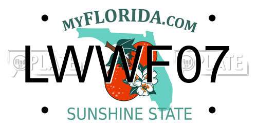 LWWF07 Florida License Plate