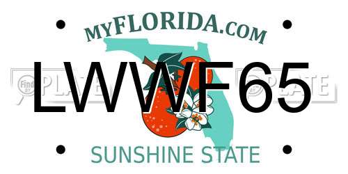 LWWF65 Florida License Plate
