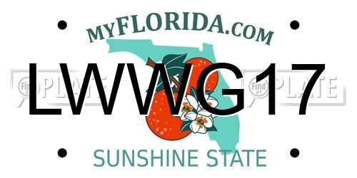 LWWG17 Florida License Plate