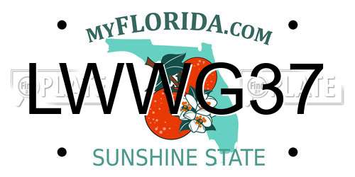LWWG37 Florida License Plate