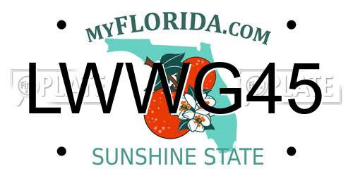 LWWG45 Florida License Plate