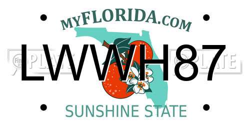 LWWH87 Florida License Plate