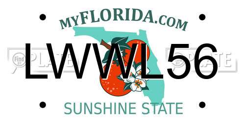 LWWL56 Florida License Plate