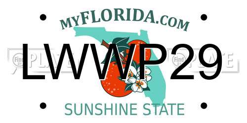 LWWP29 Florida License Plate