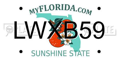 LWXB59 Florida License Plate