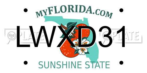 LWXD31 Florida License Plate