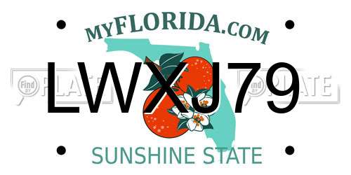 LWXJ79 Florida License Plate