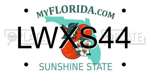 LWXS44 Florida License Plate