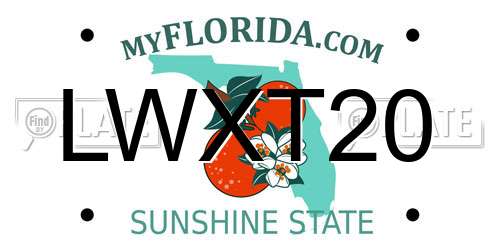 LWXT20 Florida License Plate