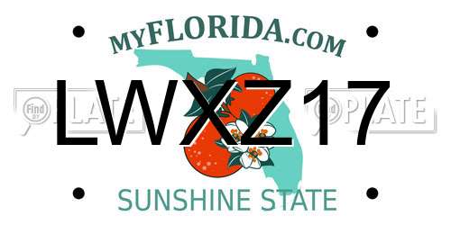 LWXZ17 Florida License Plate