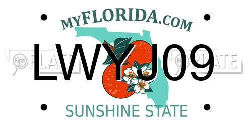 LWYJ09 Florida License Plate