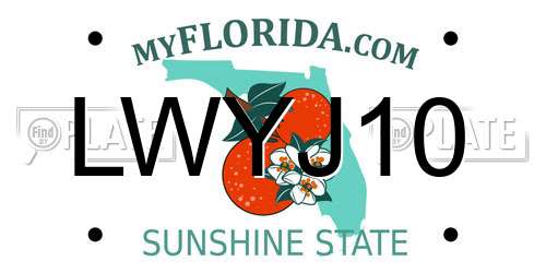 LWYJ10 Florida License Plate