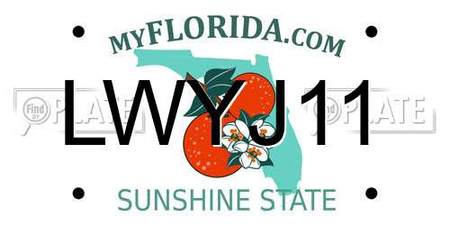 LWYJ11 Florida License Plate