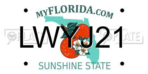 LWYJ21 Florida License Plate