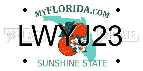 LWYJ23 Florida License Plate