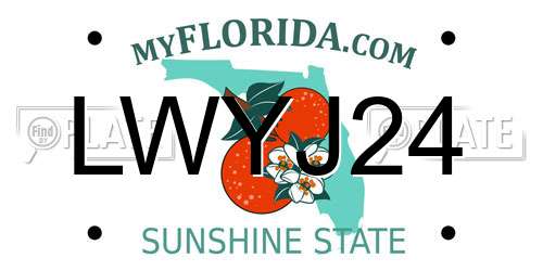 LWYJ24 Florida License Plate