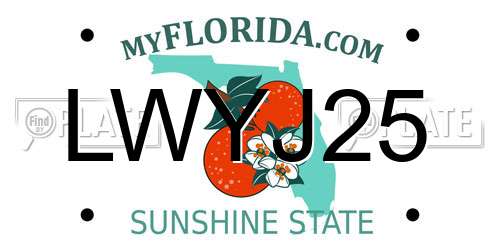 LWYJ25 Florida License Plate