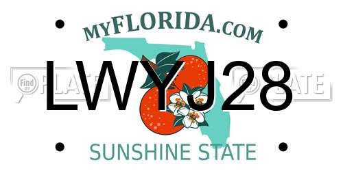 LWYJ28 Florida License Plate