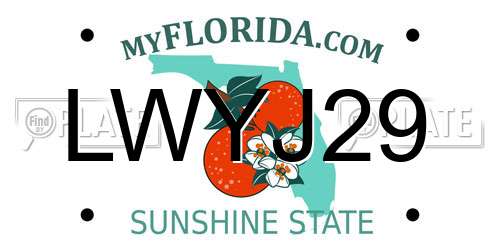 LWYJ29 Florida License Plate