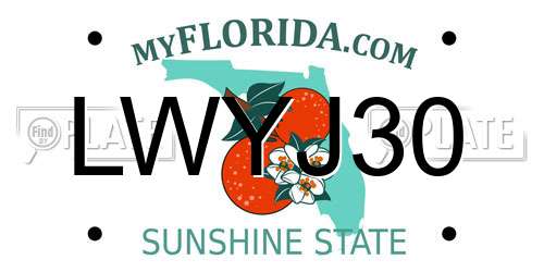 LWYJ30 Florida License Plate