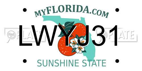 LWYJ31 Florida License Plate