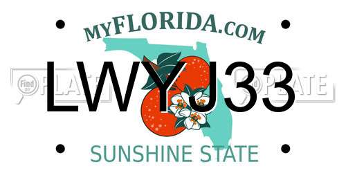 LWYJ33 Florida License Plate