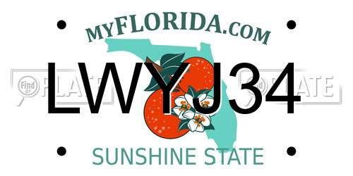 LWYJ34 Florida License Plate