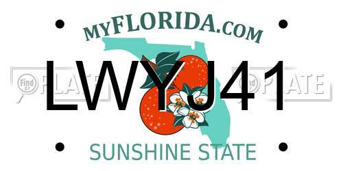 LWYJ41 Florida License Plate