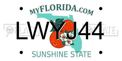 LWYJ44 Florida License Plate