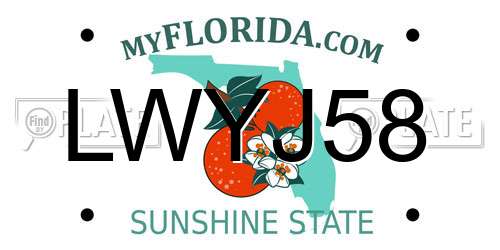 LWYJ58 Florida License Plate