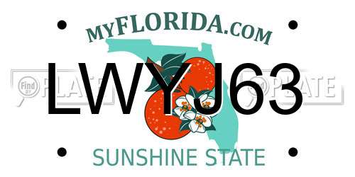 LWYJ63 Florida License Plate
