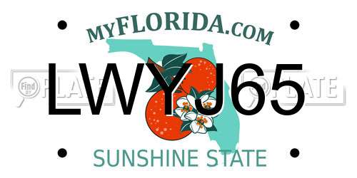 LWYJ65 Florida License Plate